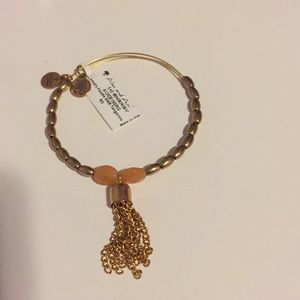 Alex and Ani Russian Gold Artist’s Palette